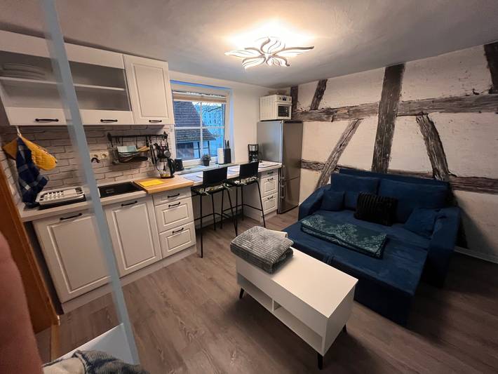 Ferienwohnung für 2 Personen, mit Garten, mit Haustier in Erfurt - 3