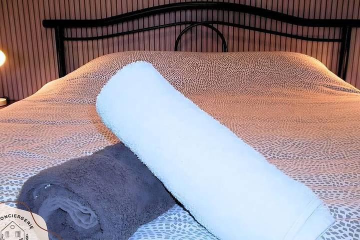 Location de vacances pour 2 personnes à Nœux-les-Mines - 4