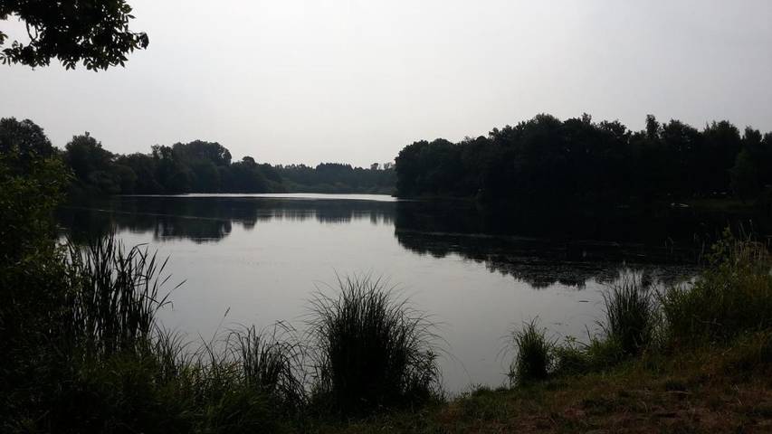 Gîte pour 4 personnes, avec jardin dans Selters - 4
