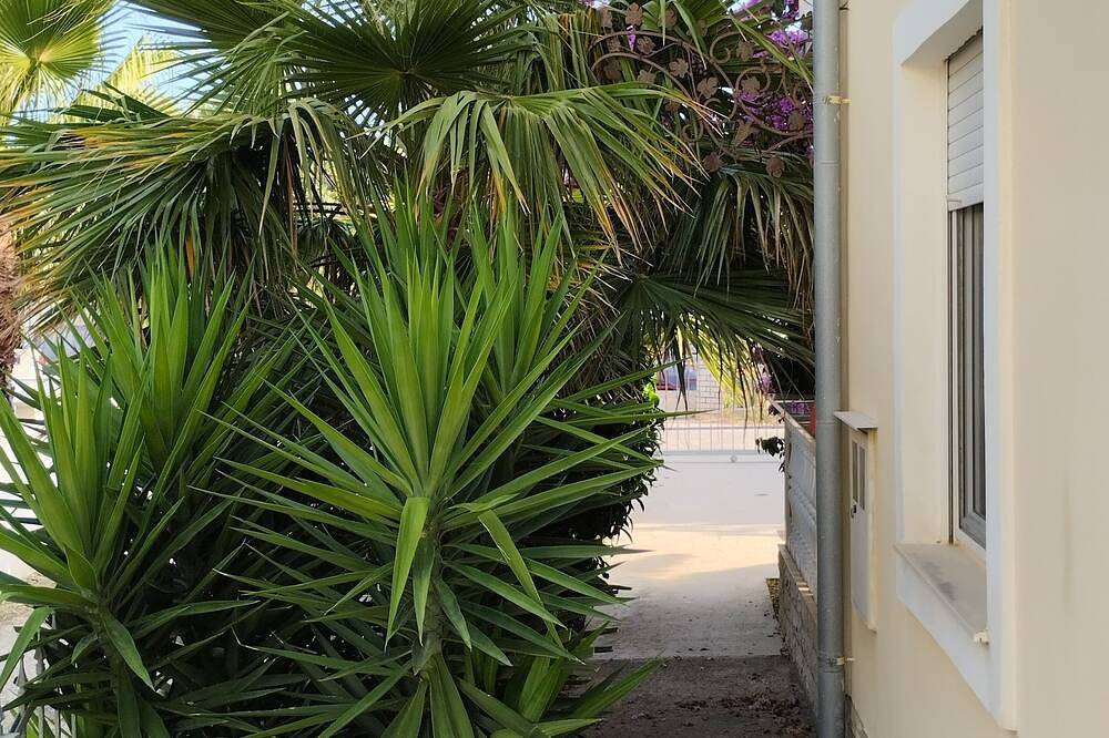 Ganze Wohnung, Apartment 2 Moderne Wohnung, Großer Balkon, 50m. zum Meer in Sukosan, Zadar
