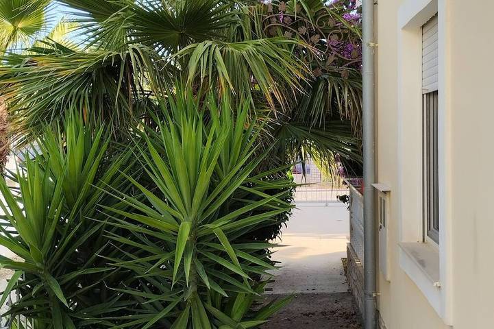 Ganze Wohnung, Apartment 2 Moderne Wohnung, Großer Balkon, 50m. zum Meer in Sukosan, Zadar