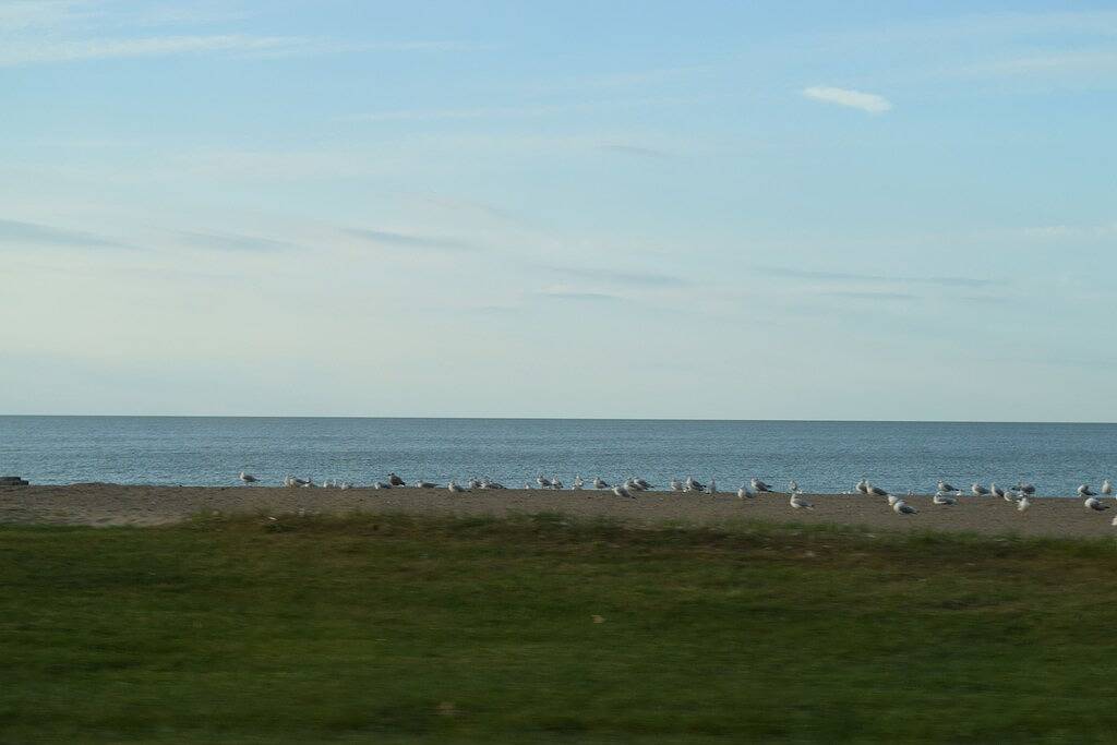 Ganze Wohnung, Außergewöhnliche 2Br Condo mit All Waterfront Views-Spaziergang in die Stadt, Jet Express Fähre! in Port Clinton, Eriesee