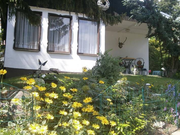 Ferienhaus für 4 Personen, mit Terrasse und Garten, mit Haustier im Ostharz - 2