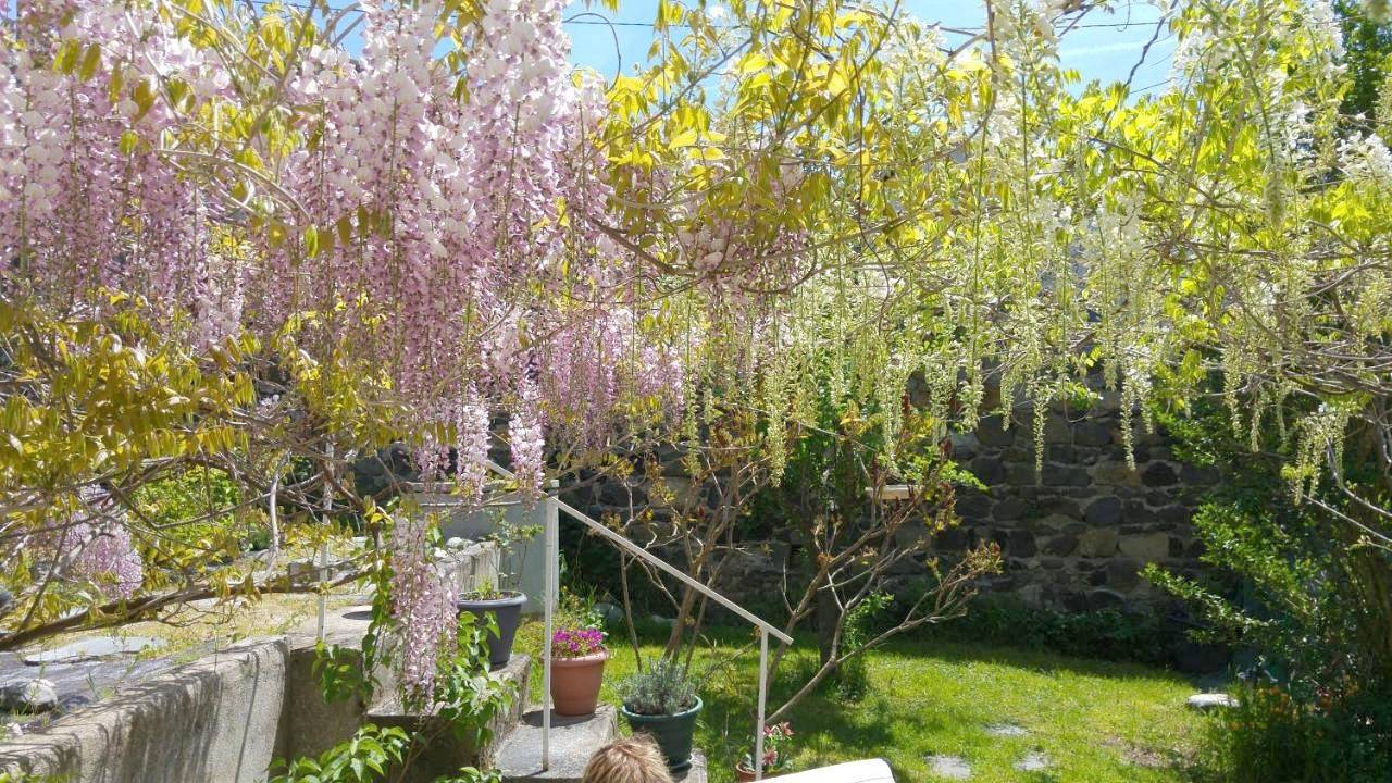 Appartement entier, Apartment in Coubon, Haute-Loire