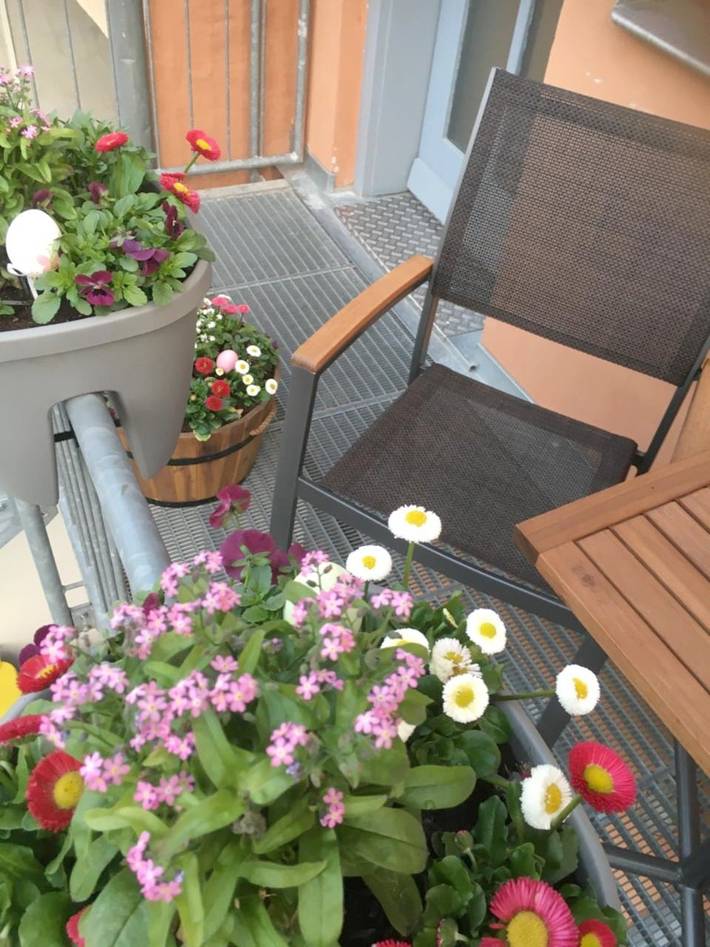 Ferienhaus für 6 Personen, mit Garten und Ausblick in Naumburg - 2