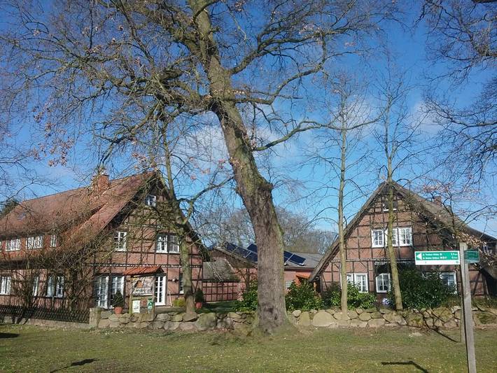 Bauernhof für 4 Personen, mit Terrasse und Garten, mit Haustier in Wendland - 2