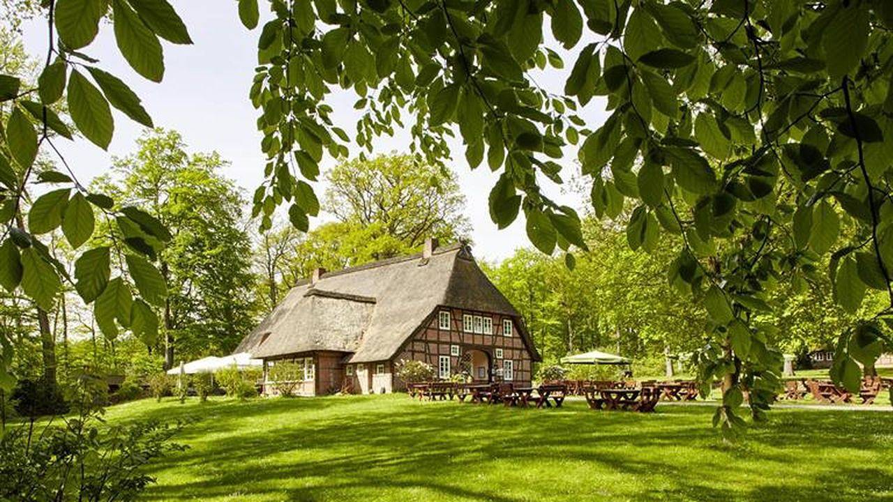 Ganze Ferienwohnung, Ferienwohnung für 4 Personen (80 m²) in Schneverdingen in Schneverdingen, Landkreis Heidekreis