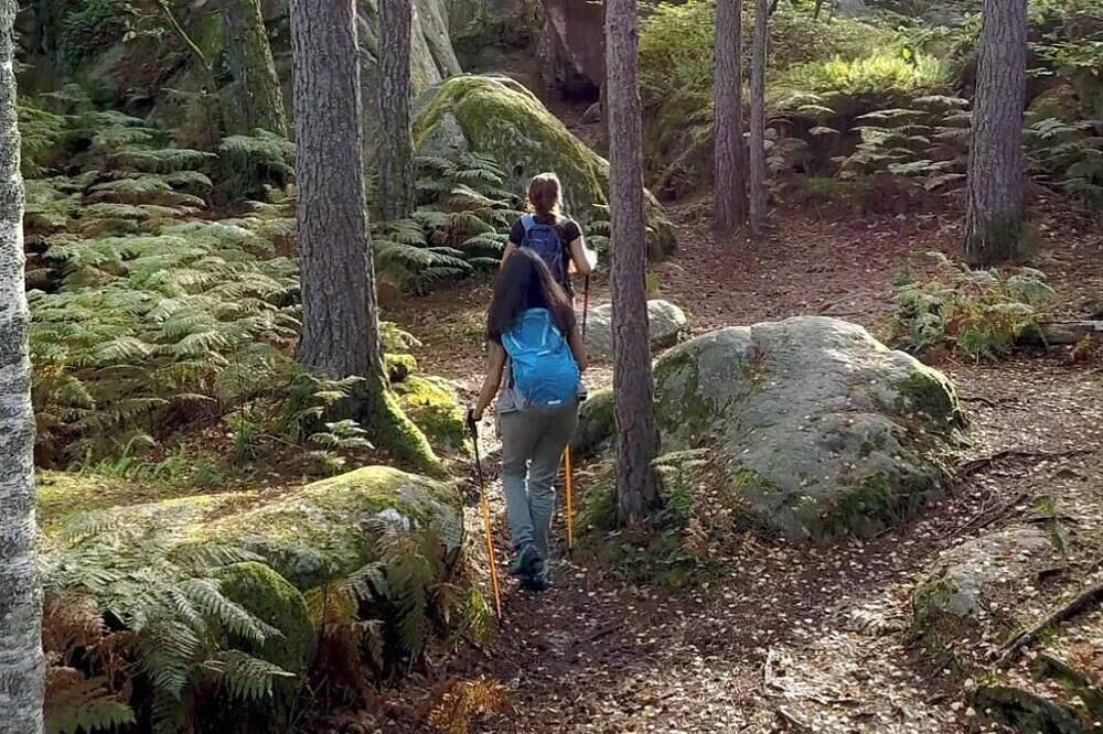 Entire apartment, Chateau Walk One Bedroom in Fontainebleau, Seine-et-Marne