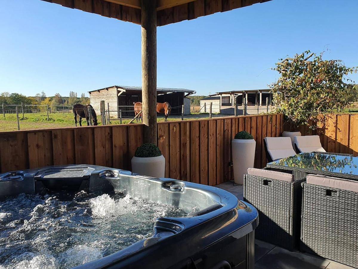 Lodge 6 pers clim spa privatif nature et chevaux in Seichebrières, Région d'Orléans
