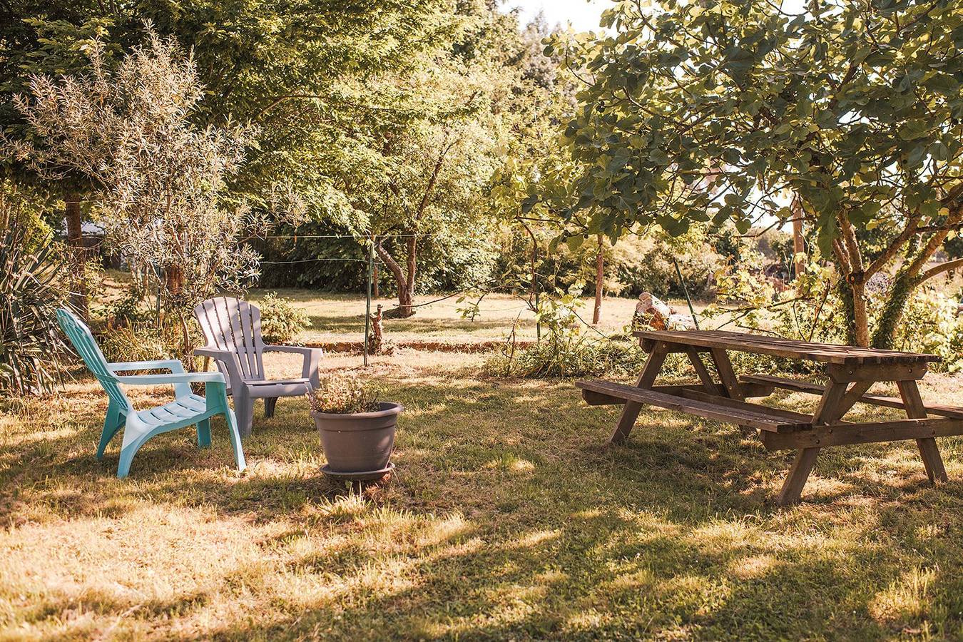 Pdj bio local, apéro offert... La Biocyclette sur Loire - Le logis de la Biocyclette, chambre d'hôtes, 700 m Loire in La Ménitré, Vallée de la Loire