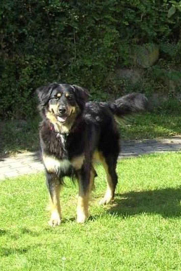 Bungalow für 5 Personen, mit Garten, mit Haustier in der Oberpfalz - 3