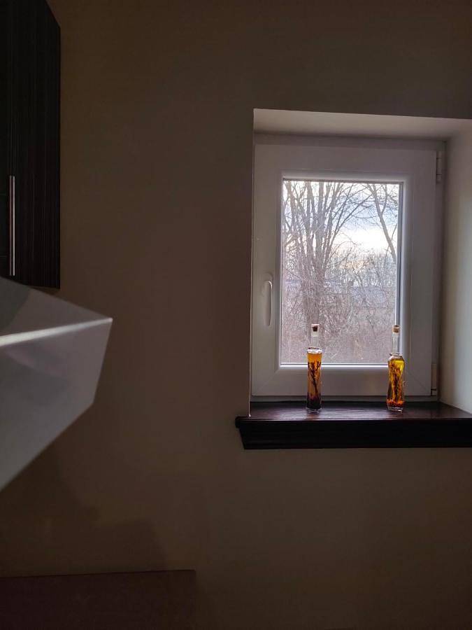 Location de vacances pour 6 personnes, avec jardin à Novi Sad - 2