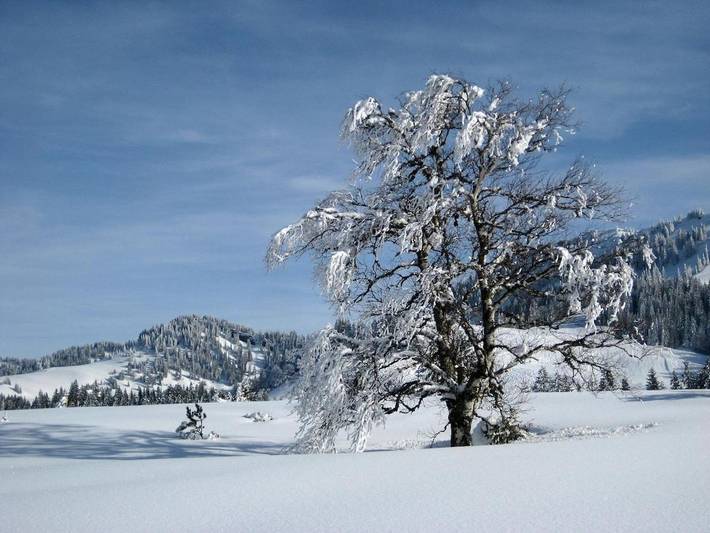 Ferienhaus für 7 Personen, mit Ausblick und Balkon in Weitnau - 3