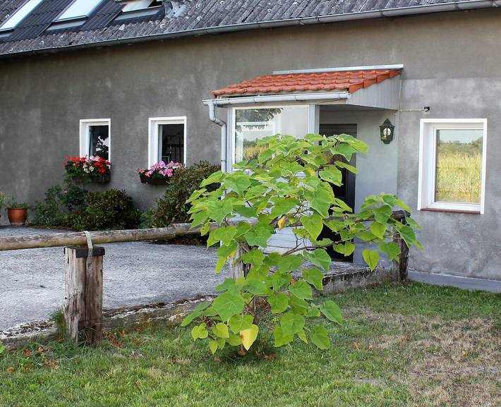 Ferienwohnung für 2 Personen am Tankumsee - 2