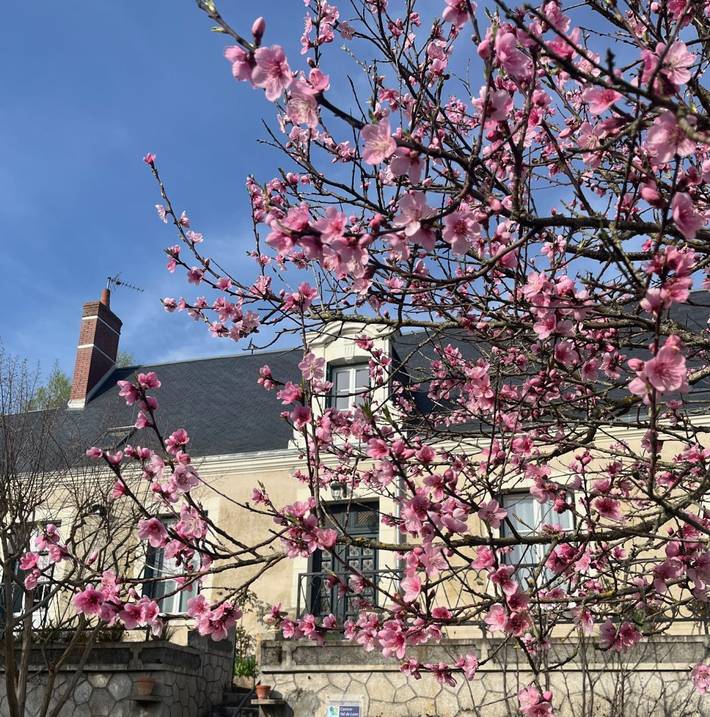 Gîte pour 10 personnes, avec jacuzzi ainsi que jardin et terrasse - 1