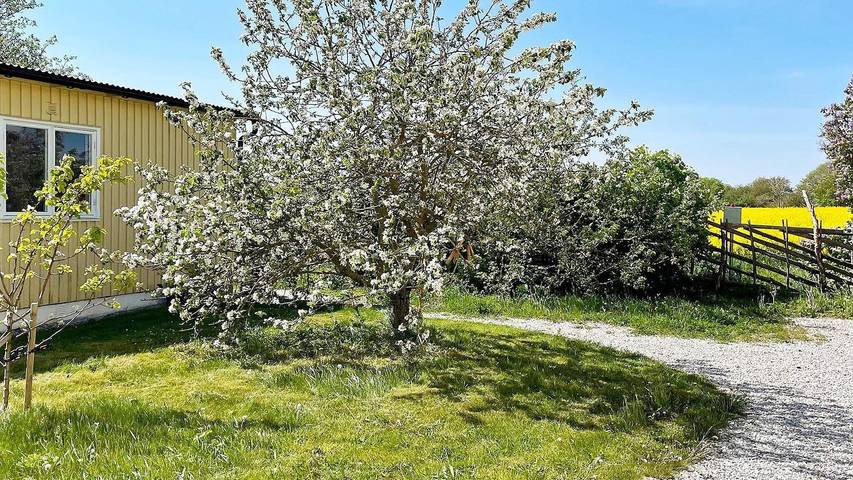 Ferienhaus für 6 Personen in Gotland - 3