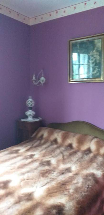 Location de vacances pour 12 personnes, avec vue ainsi que jardin et piscine, animaux acceptés à Le Blanc - 4