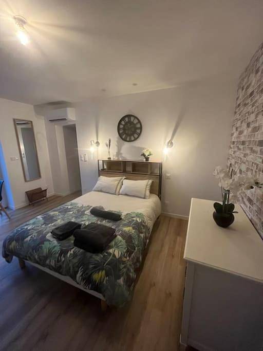 Gîte pour 2 personnes, avec jacuzzi, animaux acceptés à Chasse-sur-Rhône - 4