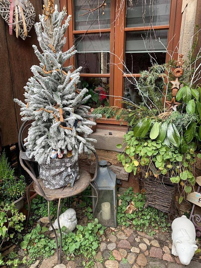 Chambre d’hôte pour 4 personnes, avec terrasse et vue à Schiltigheim