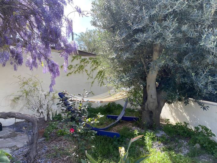 Villa pour 6 personnes dans les Pyrénées-Orientales - 4