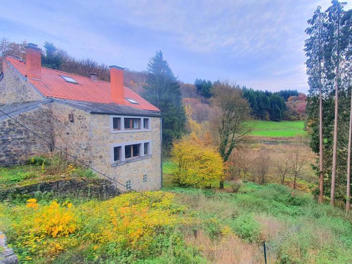 Location de vacances pour 9 personnes, avec terrasse à Onhaye - 3