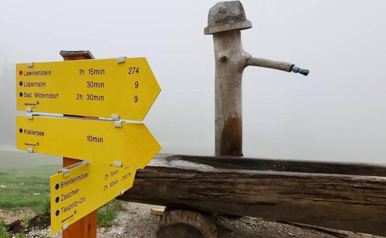 Chalet für 10 Personen, mit Ausblick und Garten, mit Haustier in Tauplitz - 3