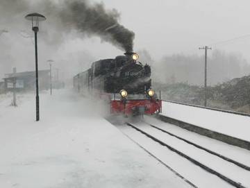 Ferienwohnung für 3 Personen in Polchow, Glowe, Bild 3