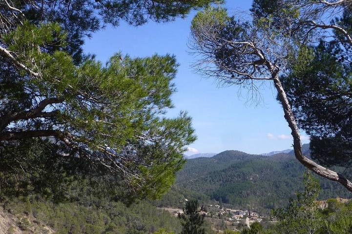 Maison de vacances pour 6 personnes, avec terrasse et jardin, animaux acceptés