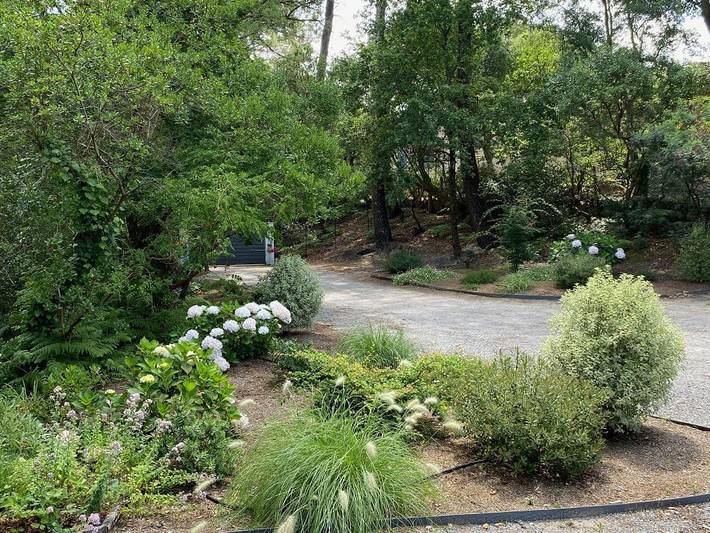 Gîte pour 3 personnes, avec piscine et jardin dans les Landes - 3