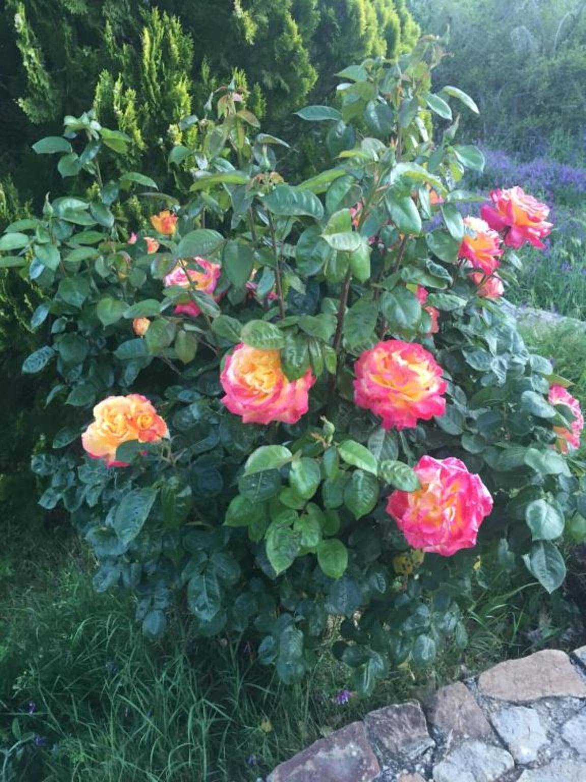 Appartamento intero, Appartamento 'Residence Lithos' con vista sulle montagne, giardino e Wi-Fi in Petralia Soprana, Provincia di Palermo