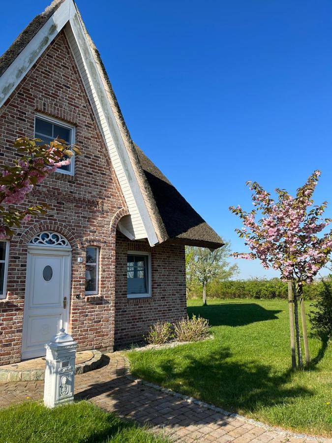 Ferienhaus für 6 Personen, mit Seeblick und Garten sowie Ausblick in Poseritz