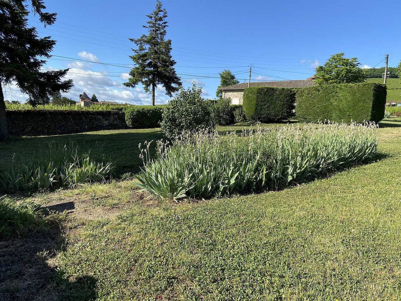 Gîte des Fournelles in Saint-Lager, Beaujolais