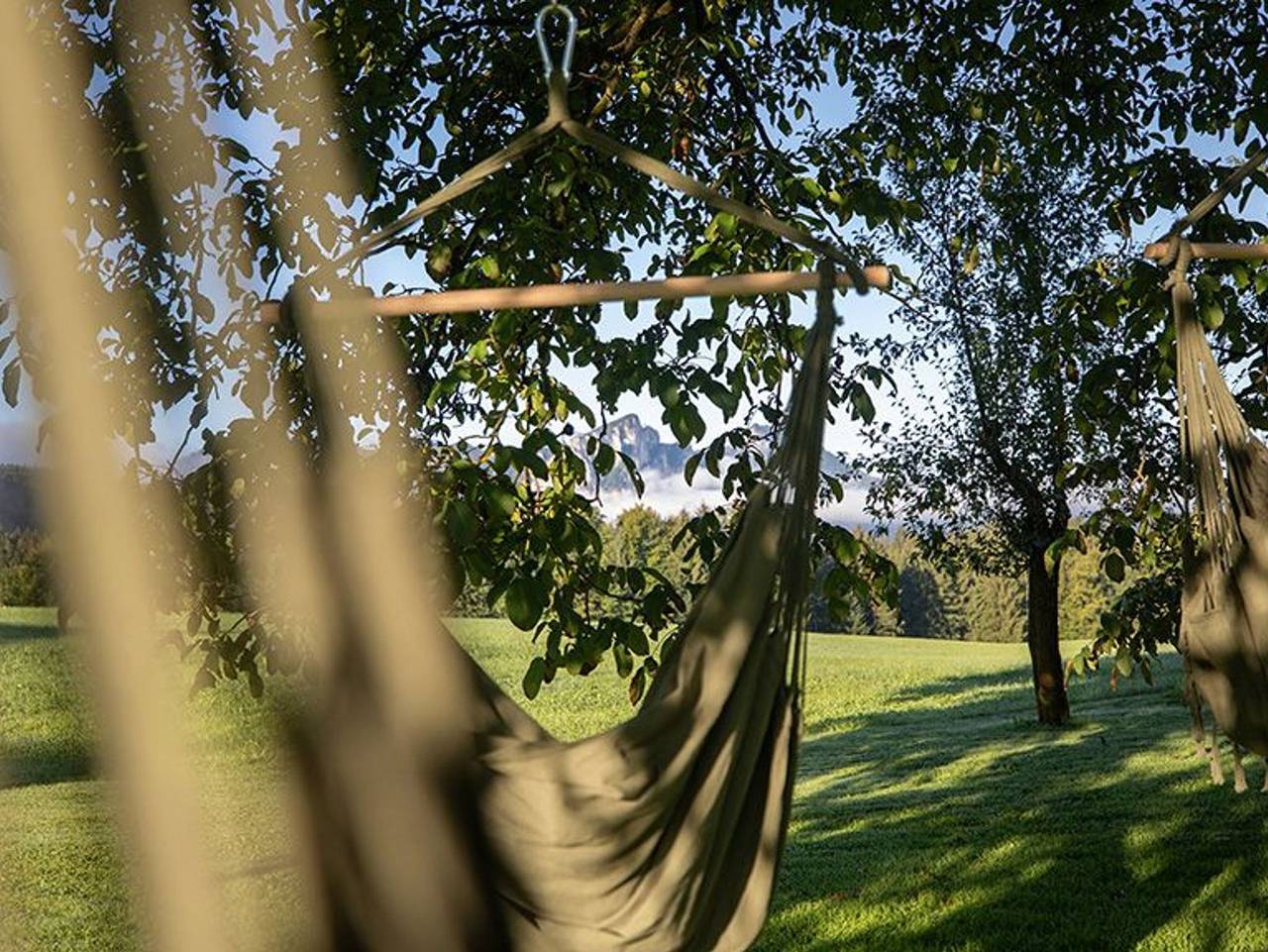 Ganze Ferienwohnung, Das Hinterwald - Ferienwohnung Heidi in Innerschwand am Mondsee, Mondsee & Irrsee