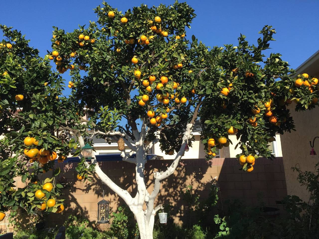Ganze Wohnung, 2-Zimmer-Ferienwohnung mit Terrasse Vodice A-12721-a in Vodice, Šibenik-Knin