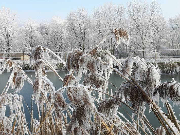 Ferienwohnung für 3 Personen, mit Garten und Seeblick in Kurpfalz - 2