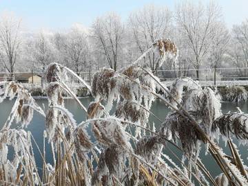 Ferienwohnung für 4 Personen in Obersulm, Naturpark Schwäbisch-Fränkischen Wald, Bild 1