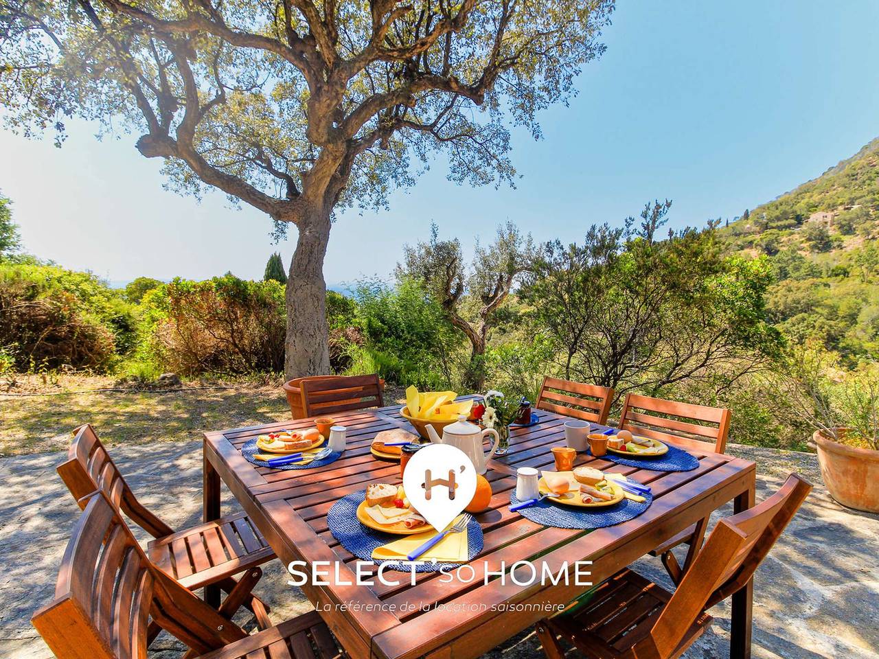 Mas Provençal 6 Pers, Jardin, Calme à Rayol-Canadel in Rayol-Canadel-sur-Mer, Région de Draguignan