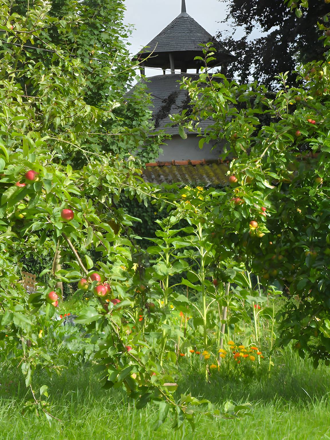 Maison de vacances « La Bergerie » avec jardin privé et Wi-Fi in Trédarzec, Côte de Granit Rose