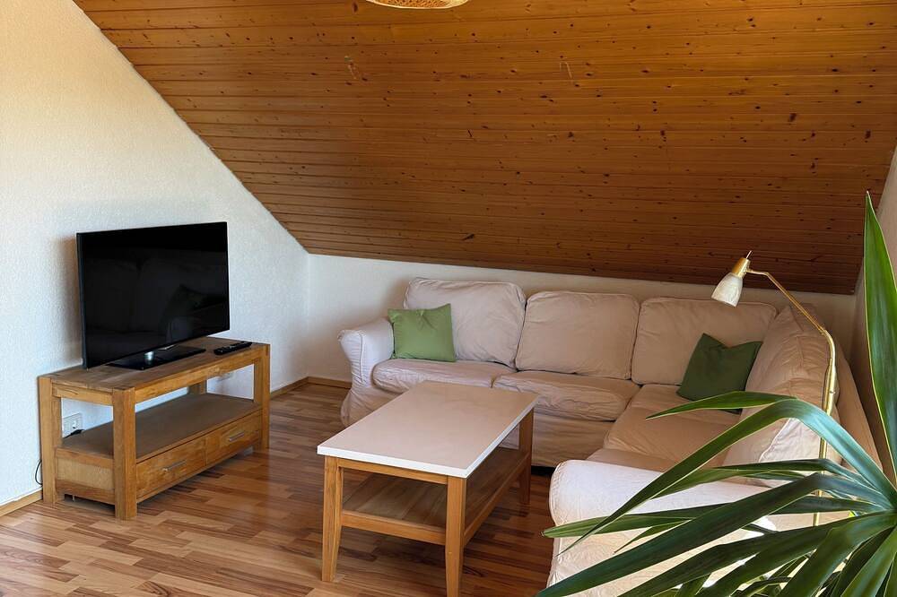 Ganze Wohnung, Schöne Gartenwohnung mit Blick auf die Hegauer Landschaft. in Singen, Hegau