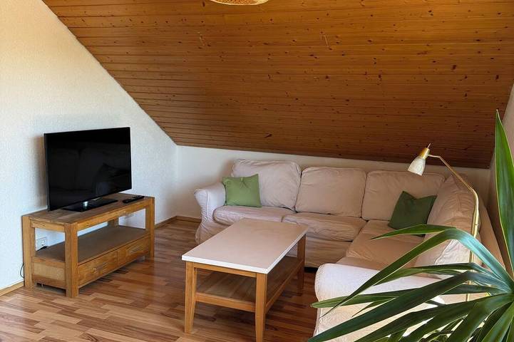 Ganze Wohnung, Schöne Gartenwohnung mit Blick auf die Hegauer Landschaft. in Singen, Hegau