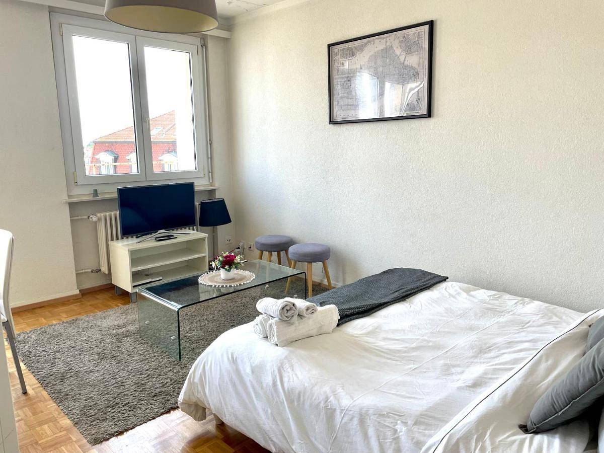 Geheel appartement, One-Bedroom Apartment in Lausanne, Meer van Genève