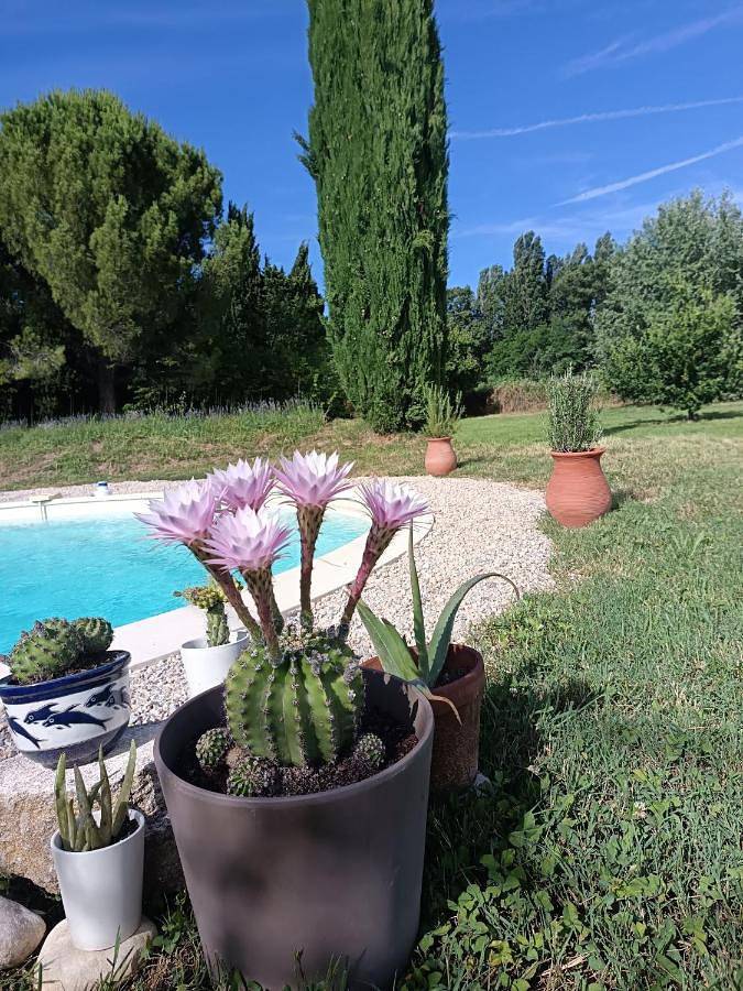 Location de vacances pour 2 personnes, avec piscine et terrasse ainsi que vue et jardin à Visan - 4