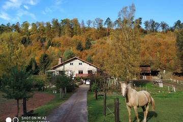 Gîte pour 6 personnes, avec terrasse et jardin à Soucht