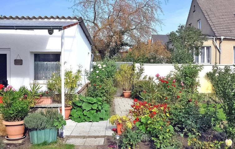Ferienhaus für 2 Personen, mit Terrasse in Waren (Müritz) - 3