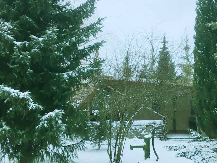 Ferienwohnung für 2 Personen, mit Garten und Terrasse in Eggesin - 3