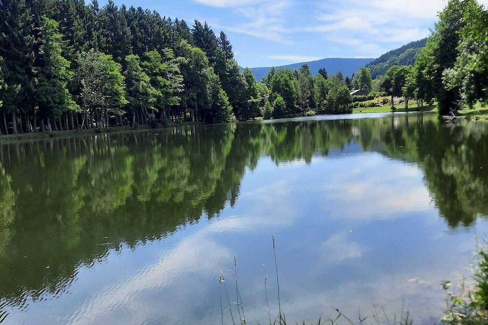 Chalet \"la clef des bois in Ban-sur-Meurthe-Clefcy, Parque natural regional de los Ballons des Vosges