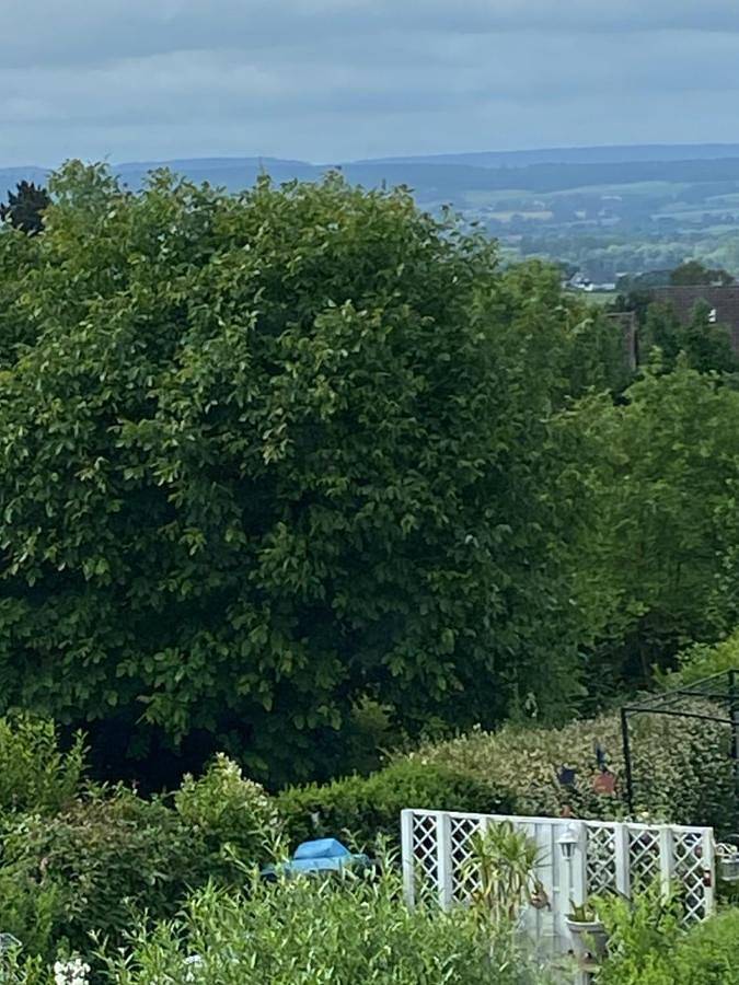 Ferienwohnung für 3 Personen, mit Terrasse und Garten sowie Ausblick in Hessisch Oldendorf - 3