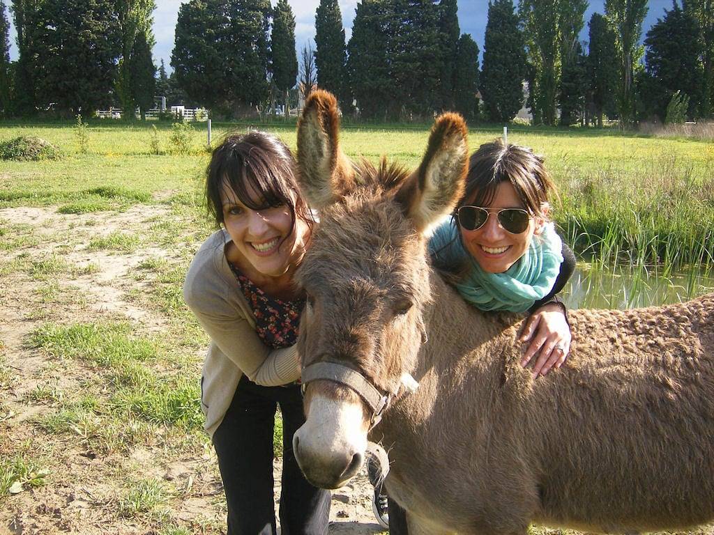 Les Chambres d'hôtes du Mas de Rey - Chambre Vendanges in Rognonas, Région d'Arles