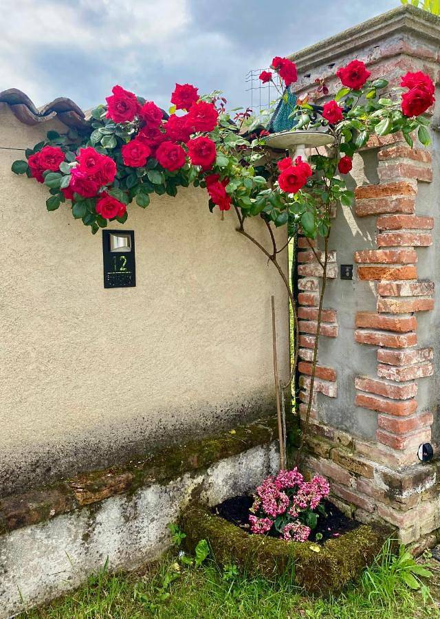 Gîte pour 2 personnes, avec jardin et vue à Peveragno - 3