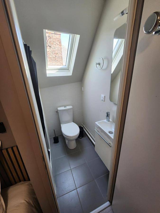 Location de vacances pour 2 personnes, avec vue et jardin, animaux acceptés à Saint-Nicolas-d'Aliermont - 3